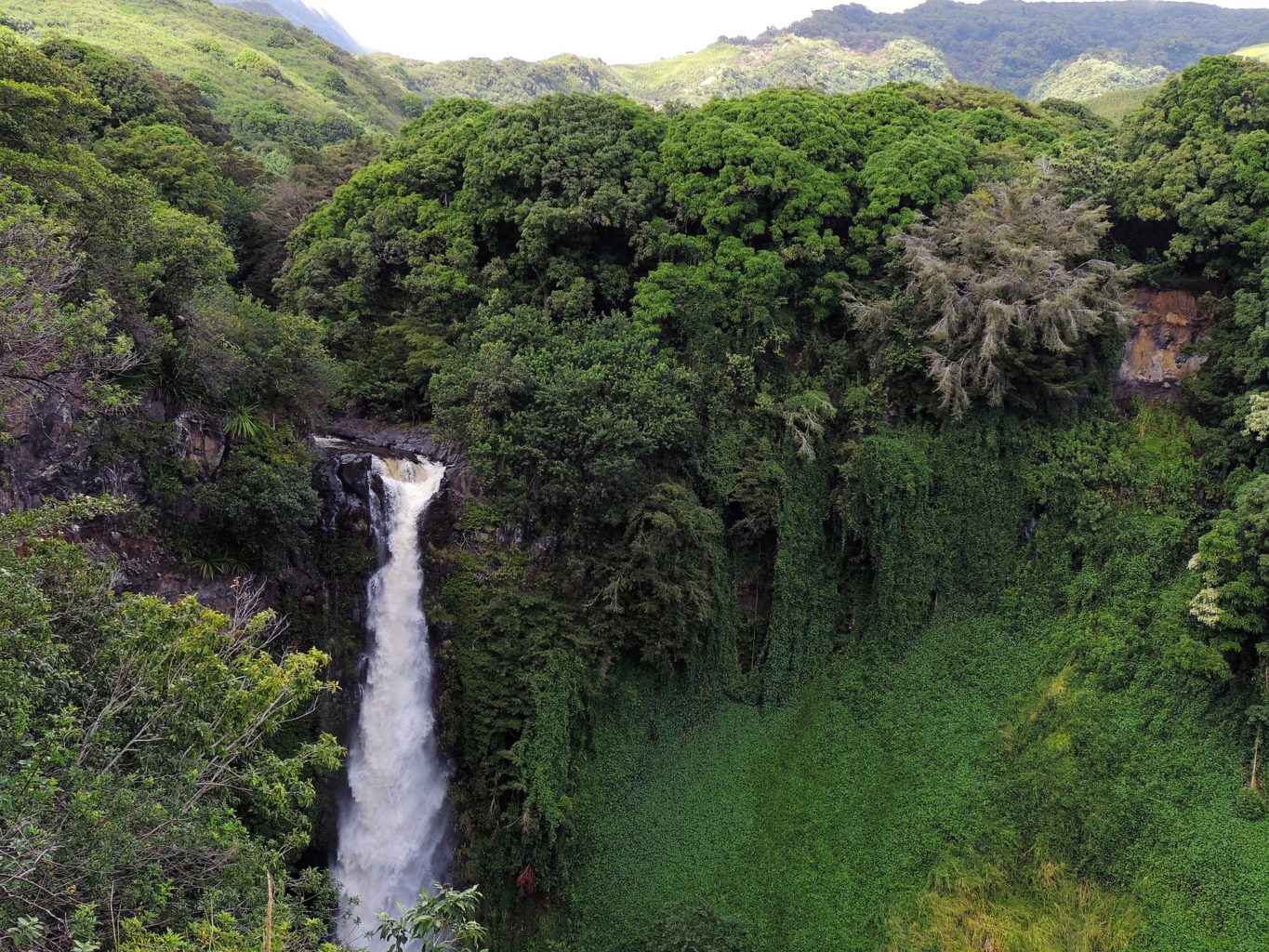 Wasserfall auf Big Island