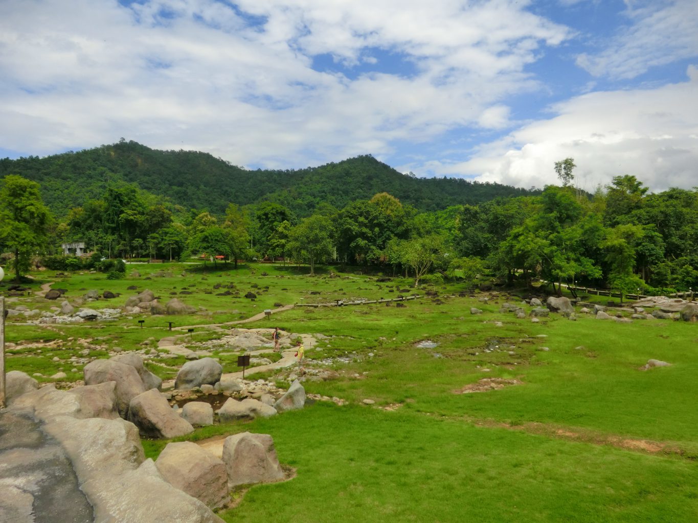 Landschaft auf Ko Samui